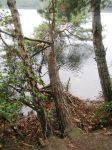 IMG 5643